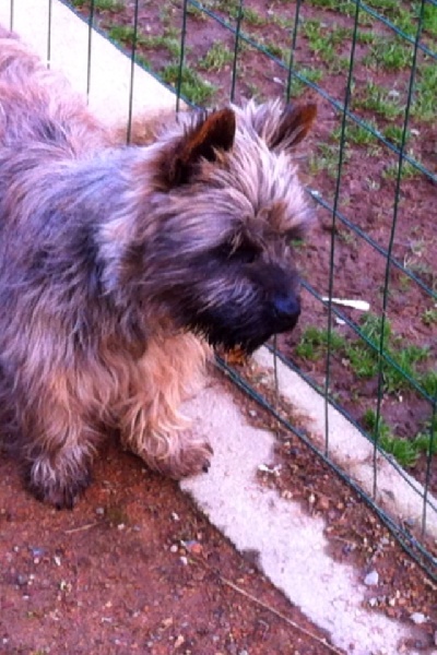 Geepy Du hameau des landes
